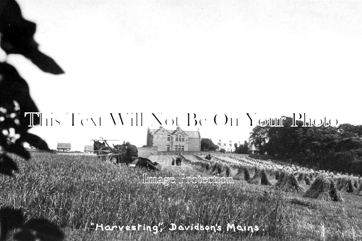 SC 2699 - Harvesting Davidsons Mains, Edinburgh, Scotland