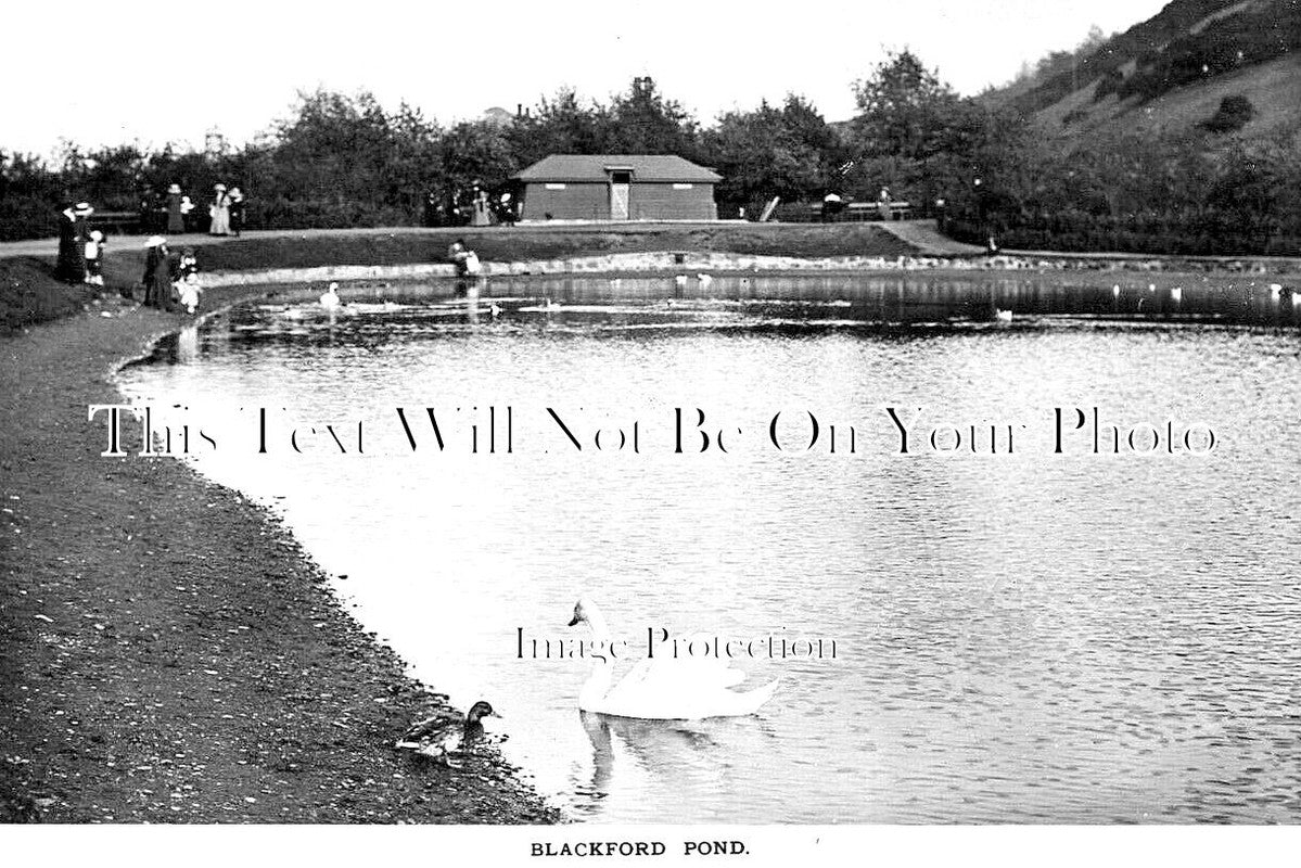SC 3135 - Blackford Pond, Edinburgh, Scotland c1910