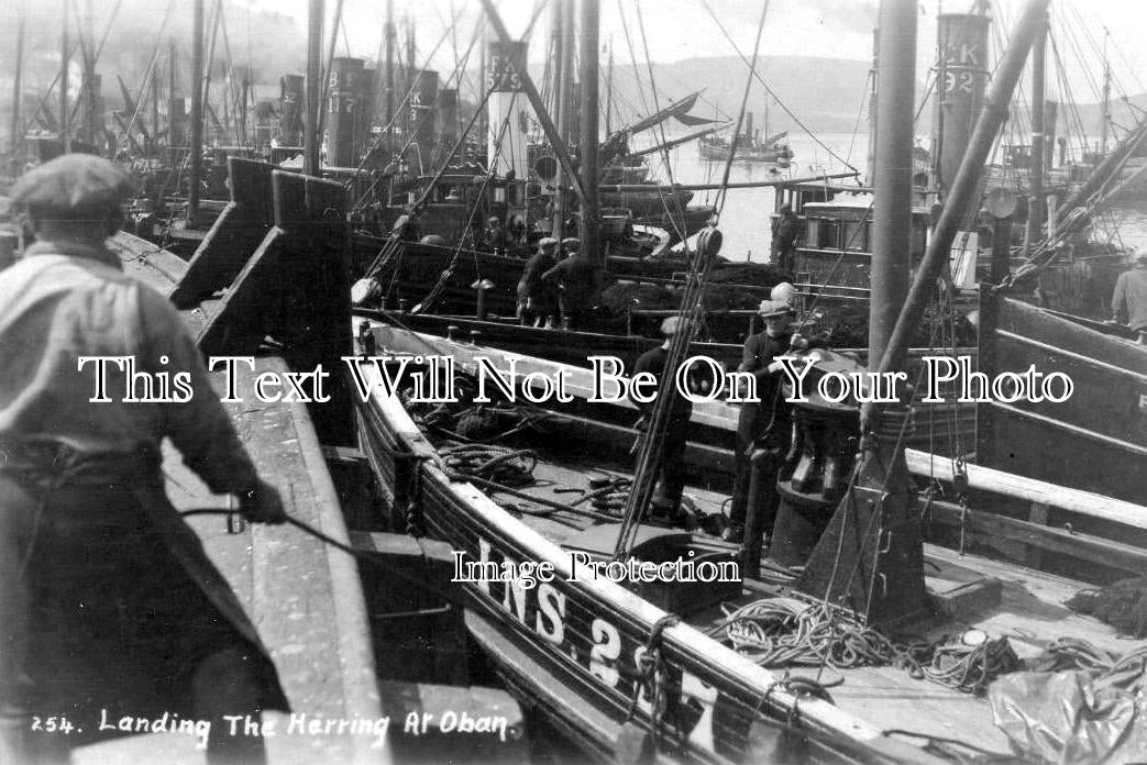 SC 3233 - Landing The Herring At Oban, Argyll, Scotland