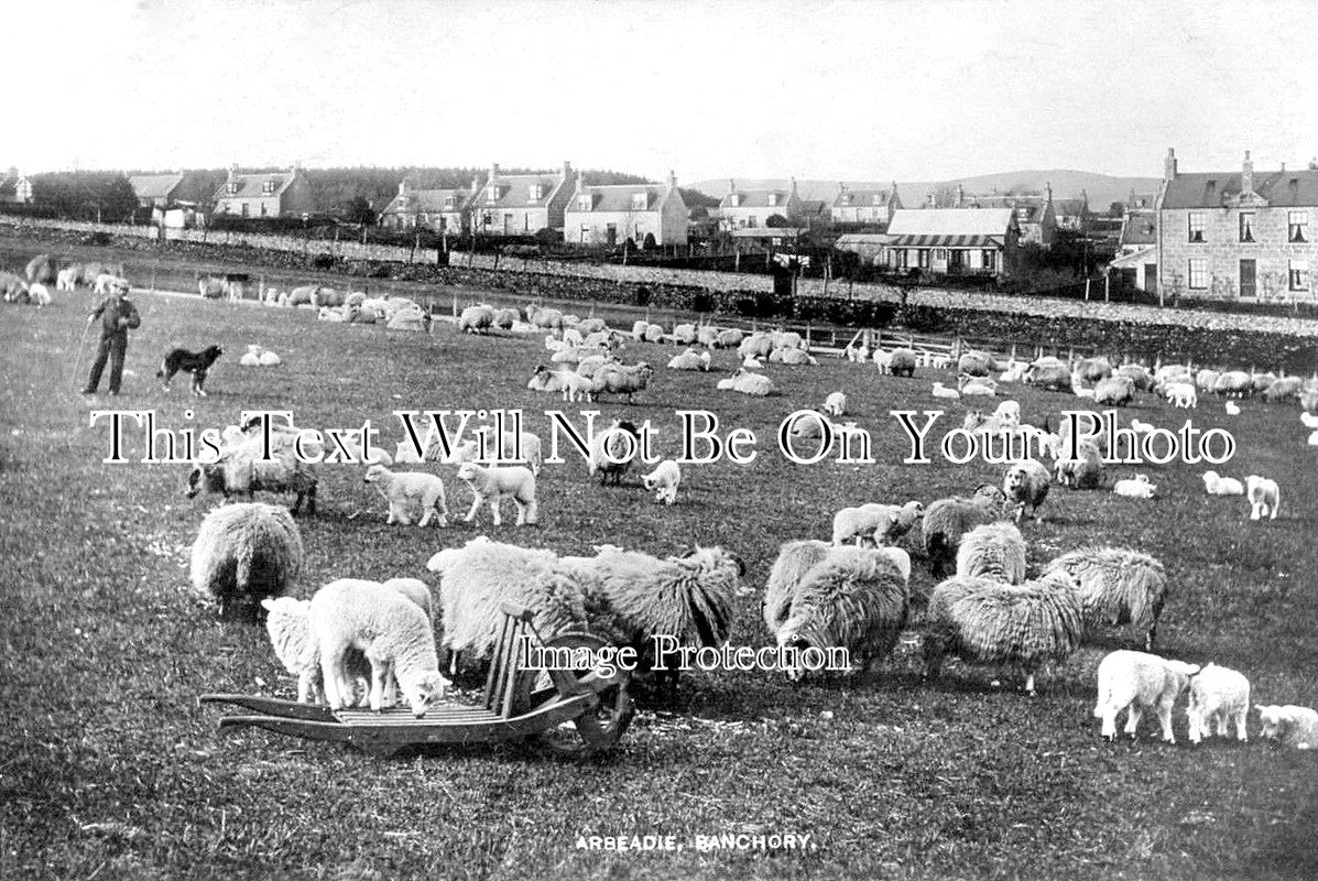 SC 3279 - Arbeadie, Banchory, Scotland