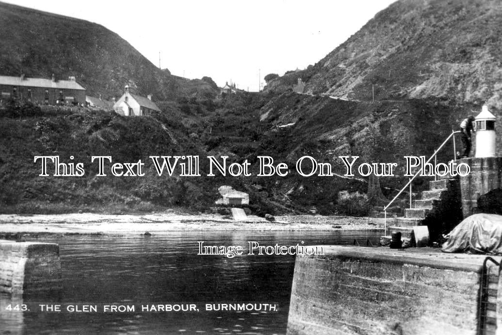SC 3402 - The Glen From Harbour, Burnmouth, Berwickshire, Scotland