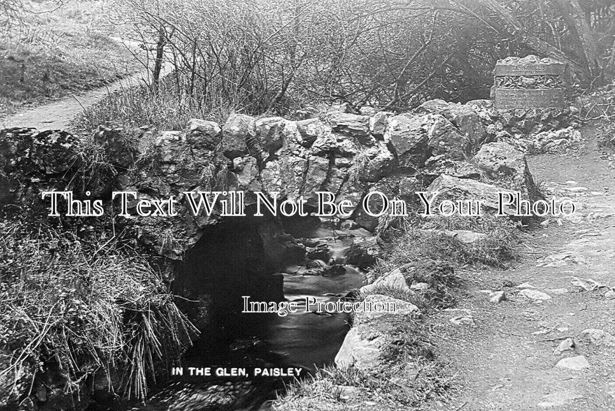 SC 3432 - In The Glen, Paisley, Scotland
