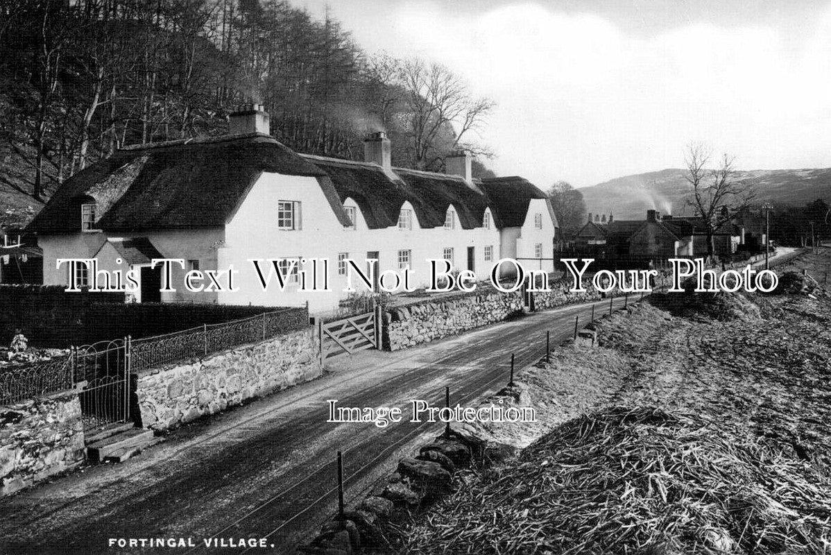 SC 3499 - Fortingall, Scotland