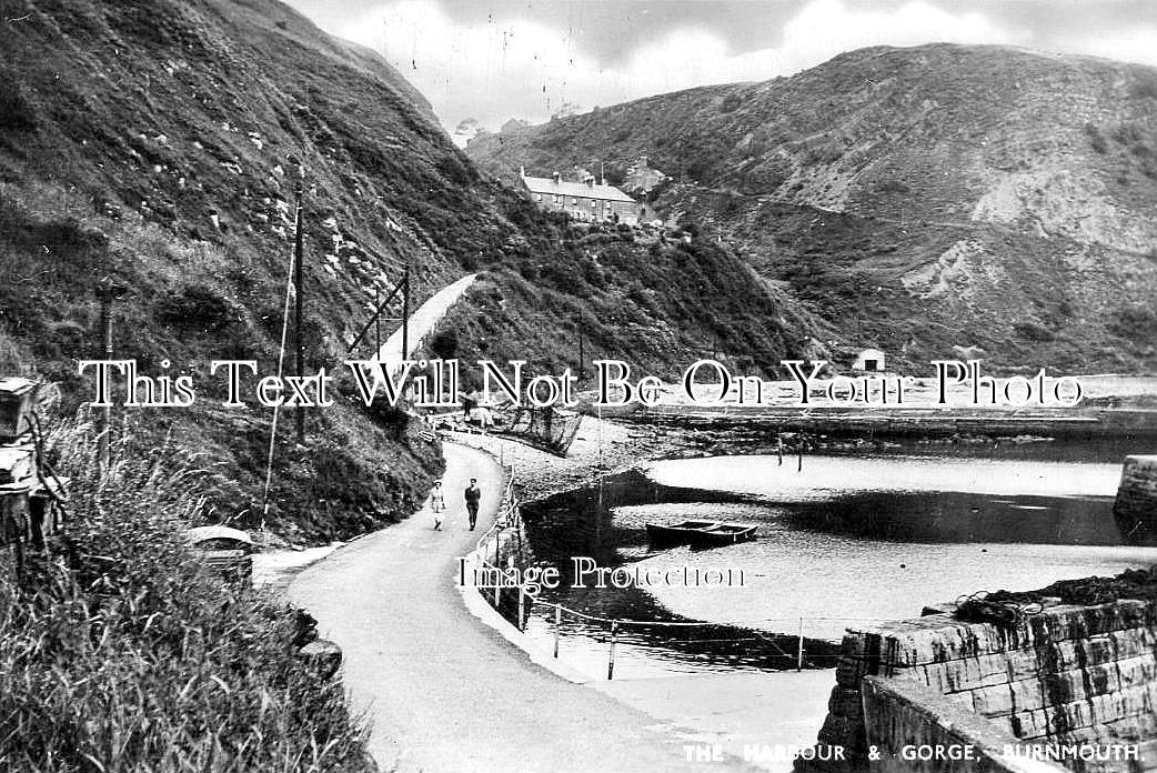 SC 3507 - The Harbour & Gorge, Burnmouth, Scotland