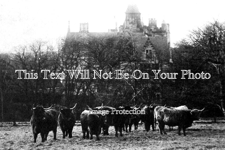 SC 434 - Urie House With Highland Cattle, Stonehaven, Scotland