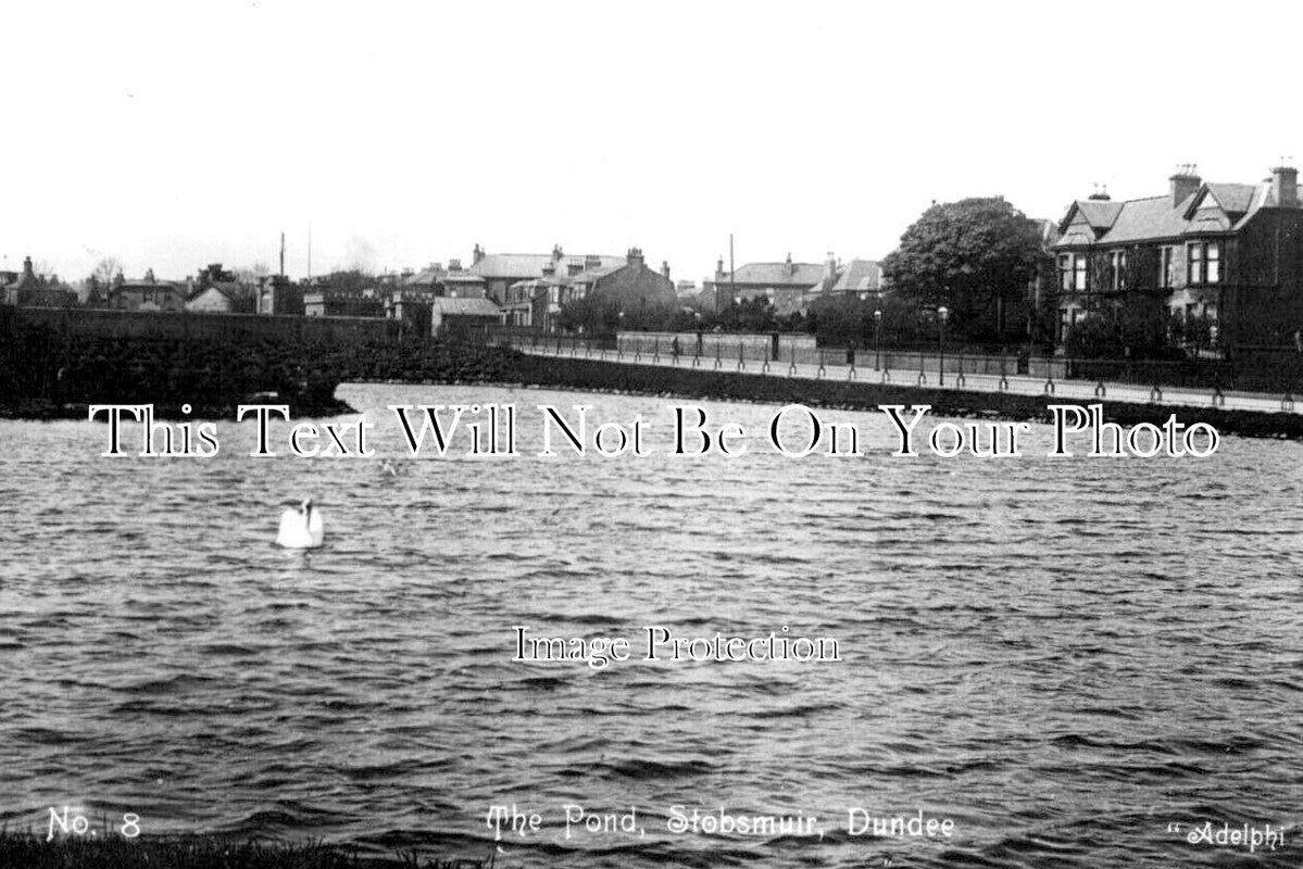 SC 948 - The Pond, Stobsmuir, Dundee, Scotland