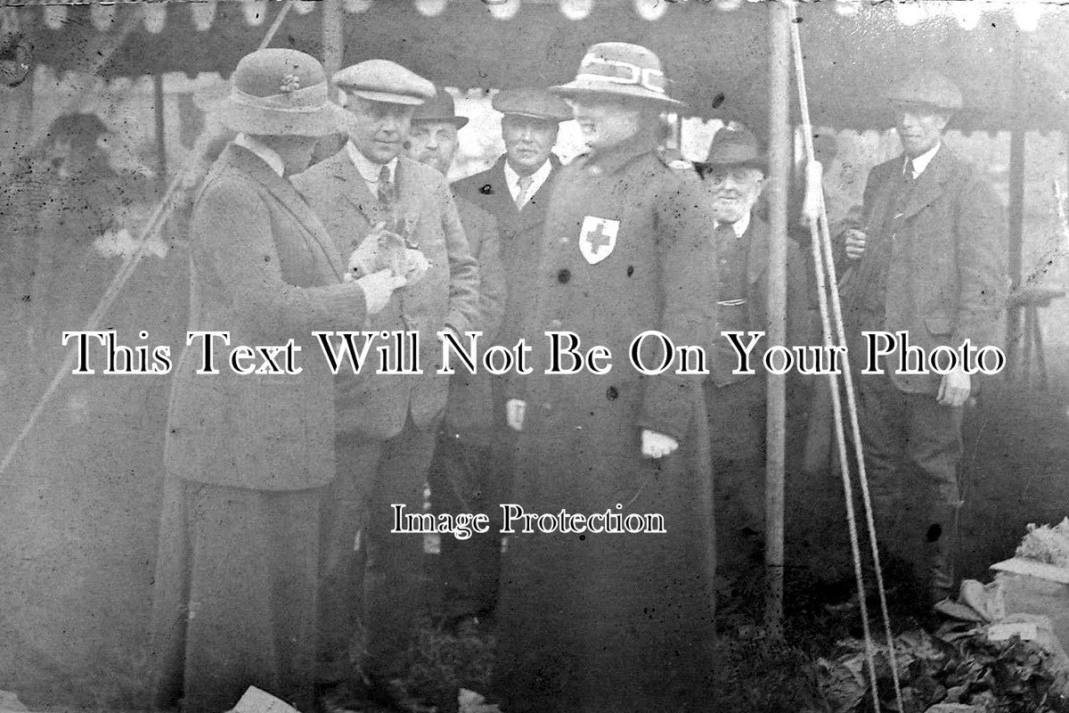 SF 173 - Duchess Of Hamilton, Red Cross Sale, Framlingham, Suffolk c1915