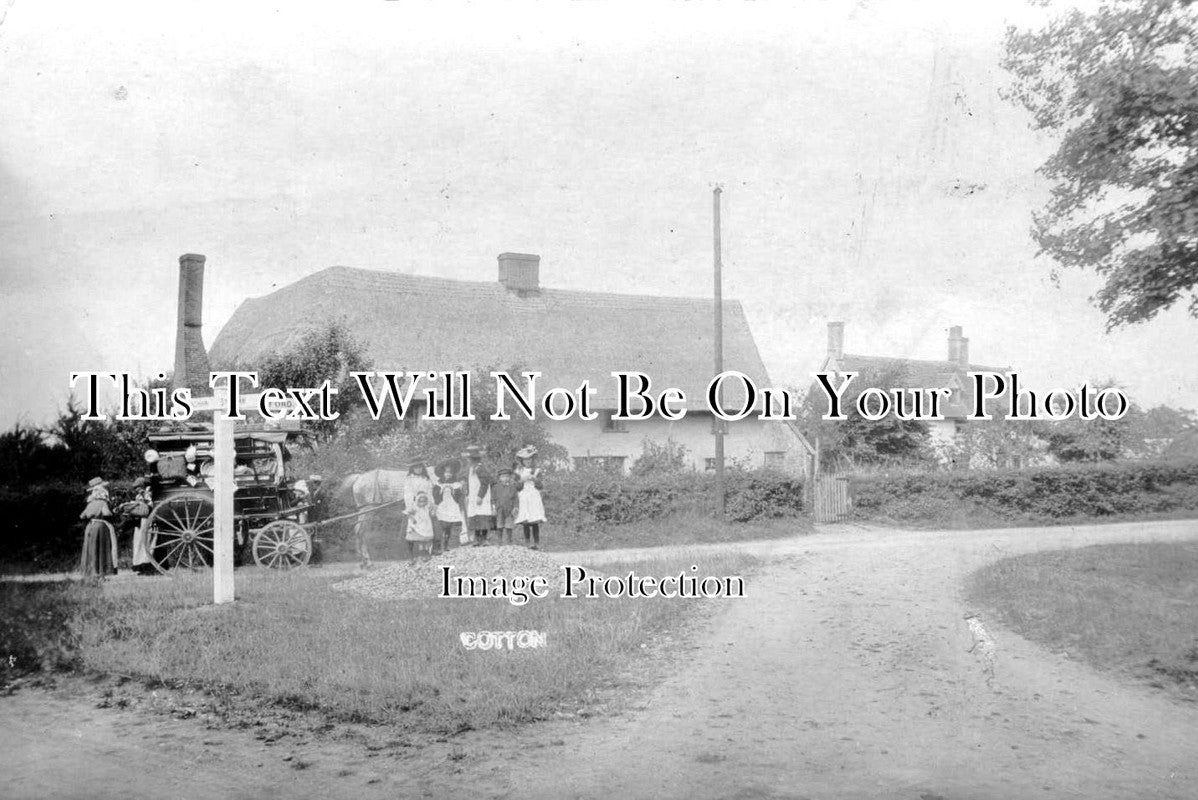 SF 348 - Cotton, Suffolk