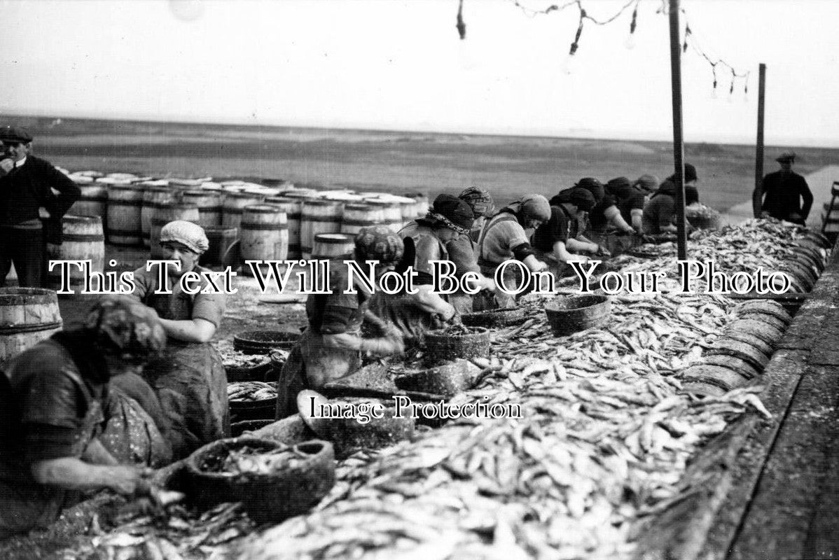 SF 470 - Scotch Fisher Girls, Lowestoft, Suffolk