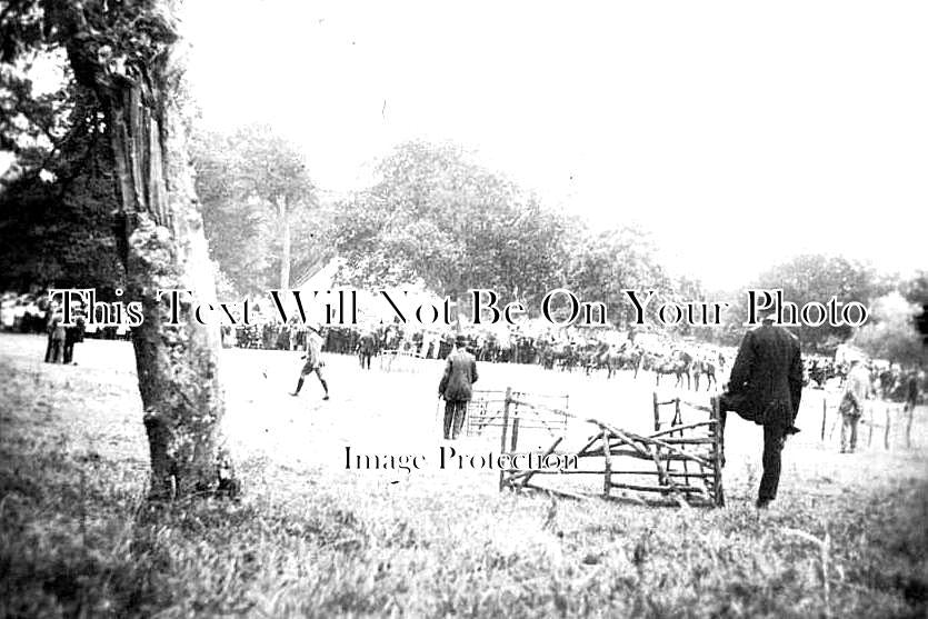 SO 1054 - Cheddar Flower Show, Somerset c1913