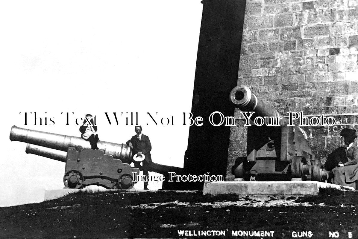 SO 1055 - Wellington Monument Guns, Somerset