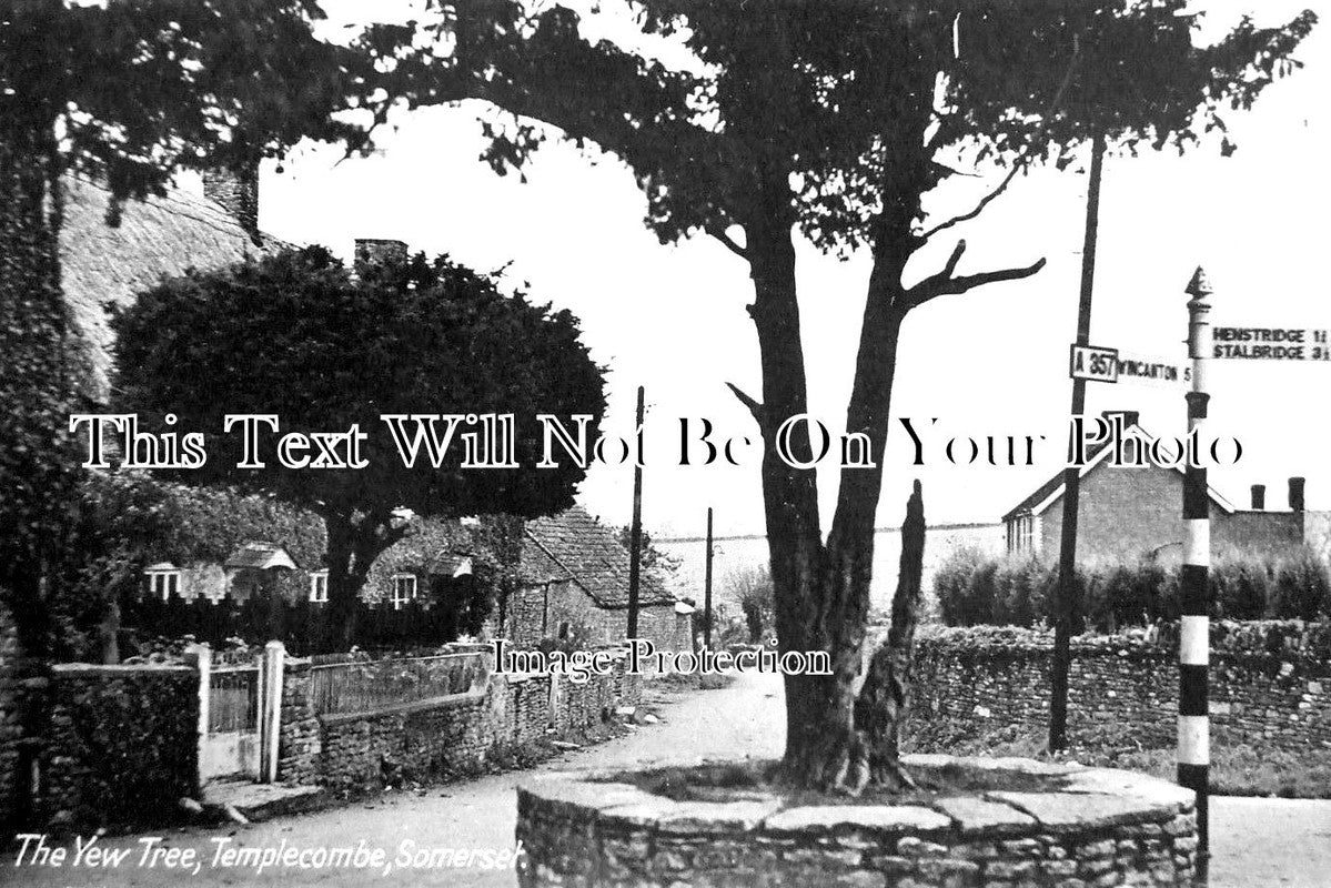 SO 1102 - The Yew Tree, Templecombe, Somerset c1935
