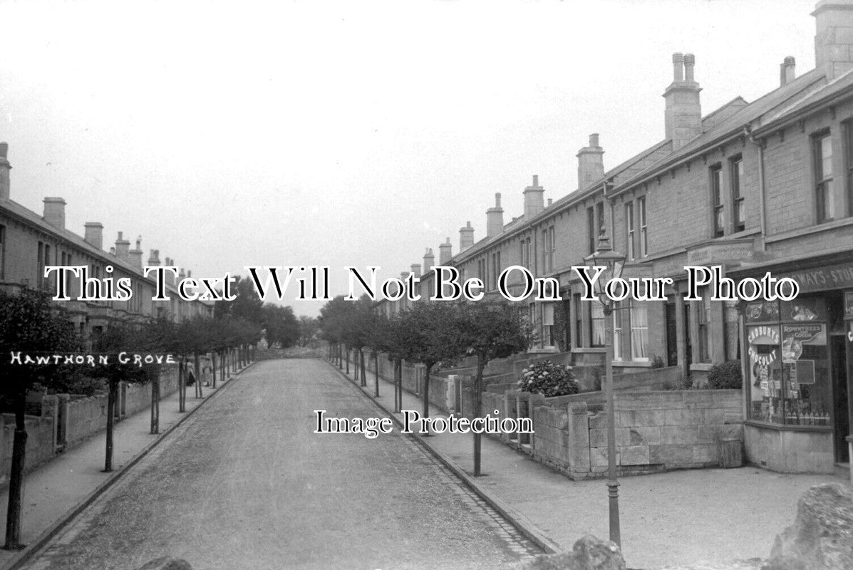 SO 1132 - Hawthorn Grove, Combe Down, Bath, Somerset
