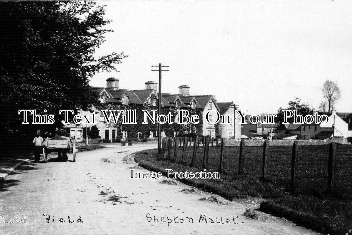 SO 131 - Field, Shepton Mallet, Somerset