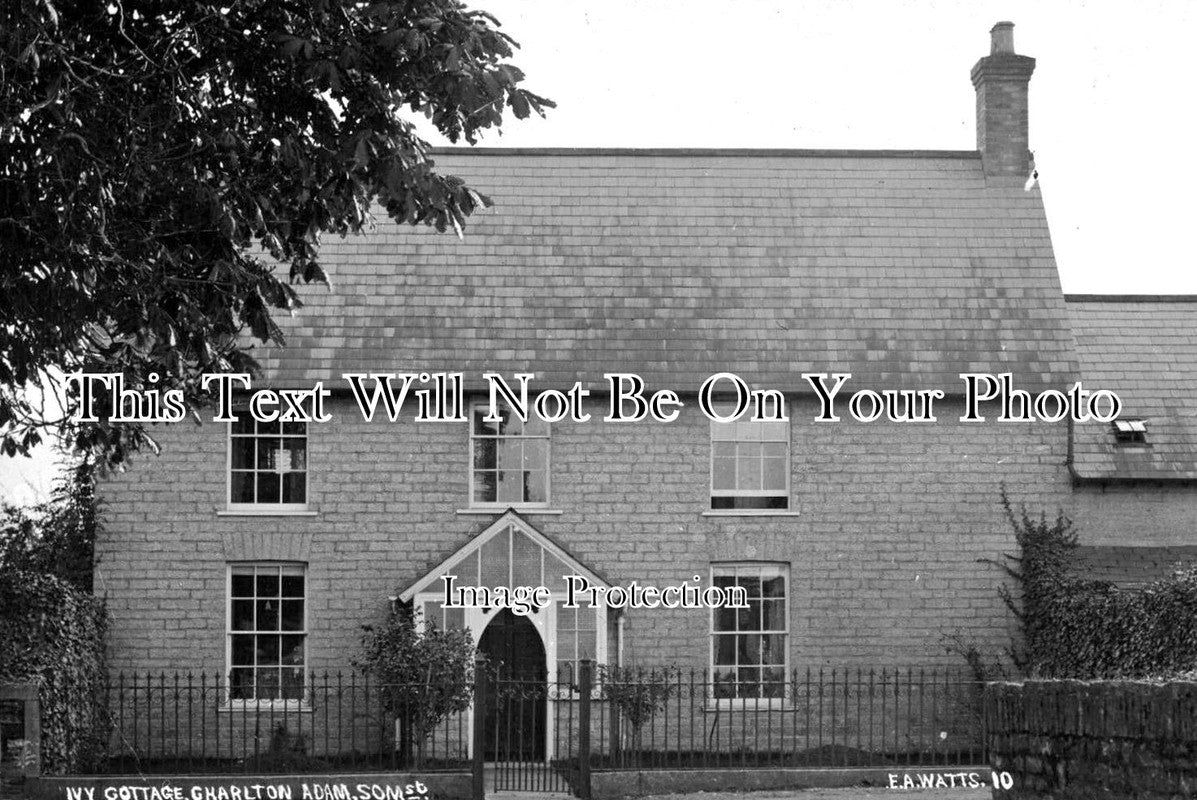 SO 2012 - Ivy Cottage, Charlton Adam, Somerset