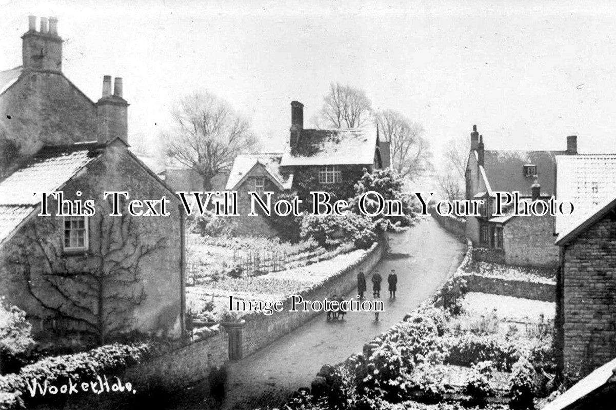 SO 247 - Snow Scene, Wookey Hole, Somerset