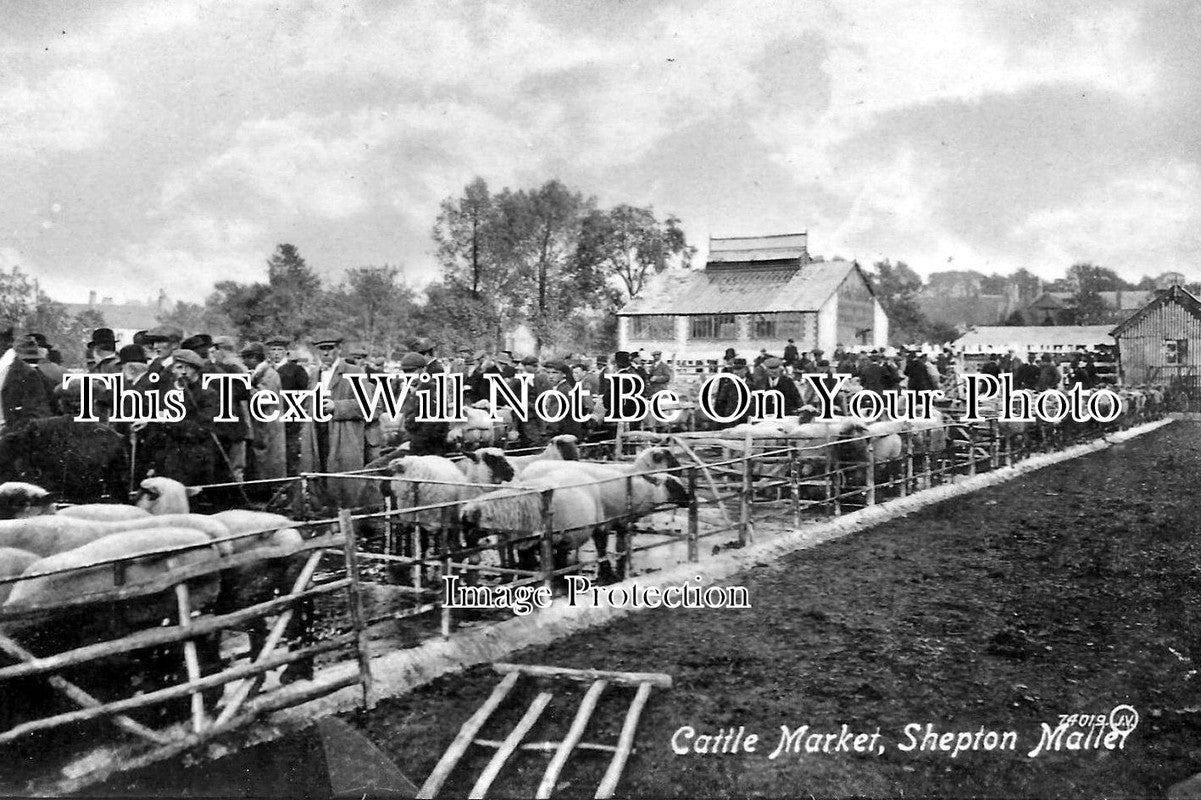 SO 252 Cattle Market, Shepton Mallet, Somerset JB Archive