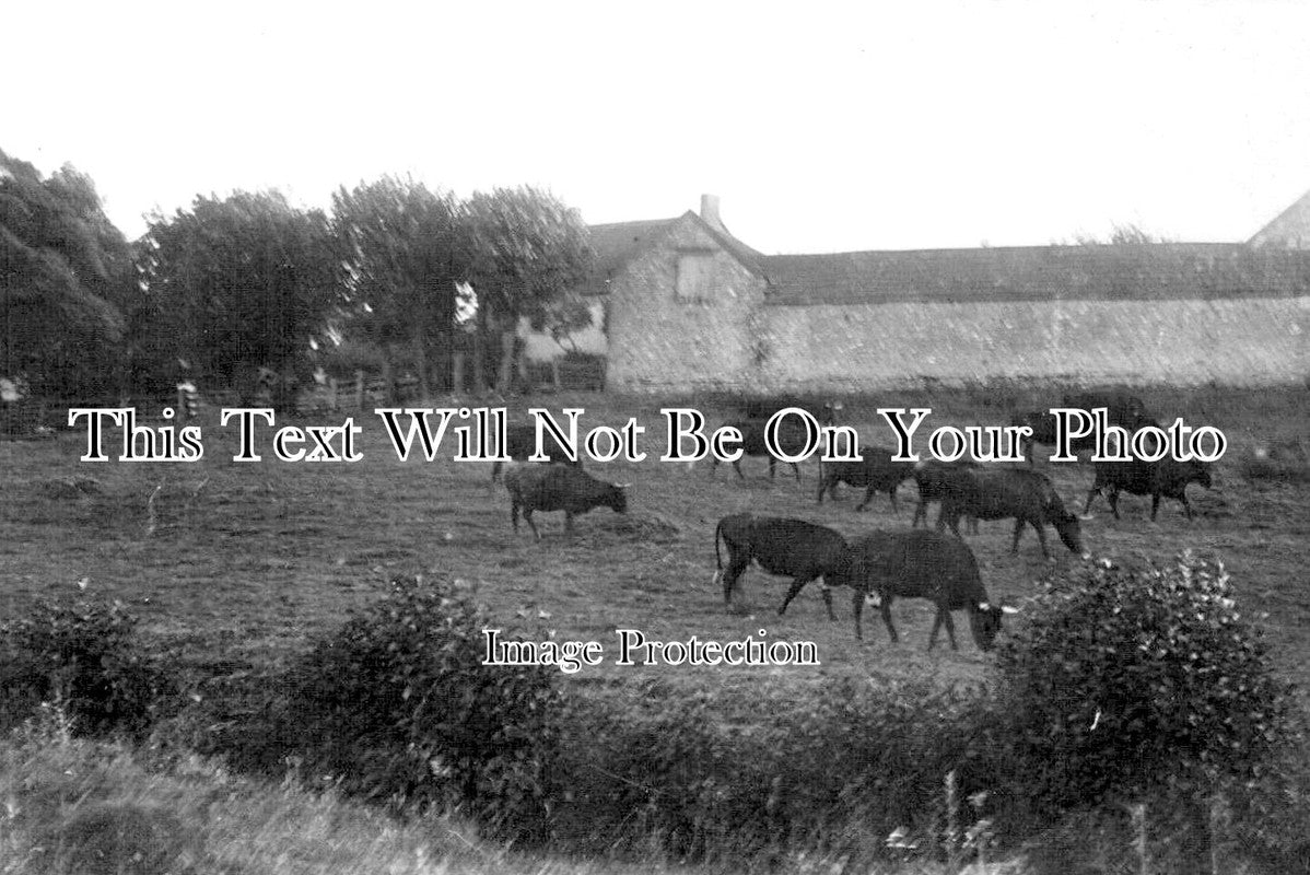 SO 2574 - Chard, Somerset