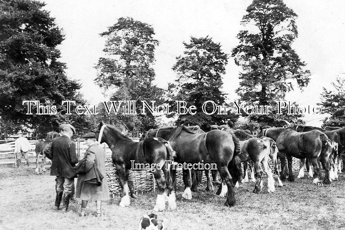 SO 2854 - Evercreech Horse Show, Somerset c1907