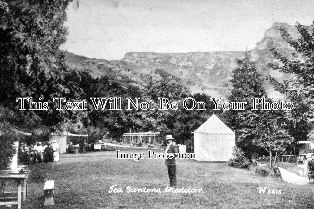 SO 346 - Tea Gardens At Cheddar, Somerset