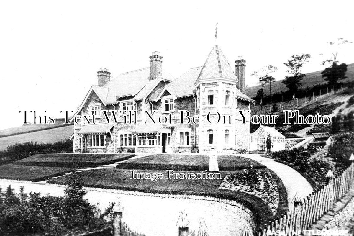 SO 977 - Basil, Nettlecombe, Somerset