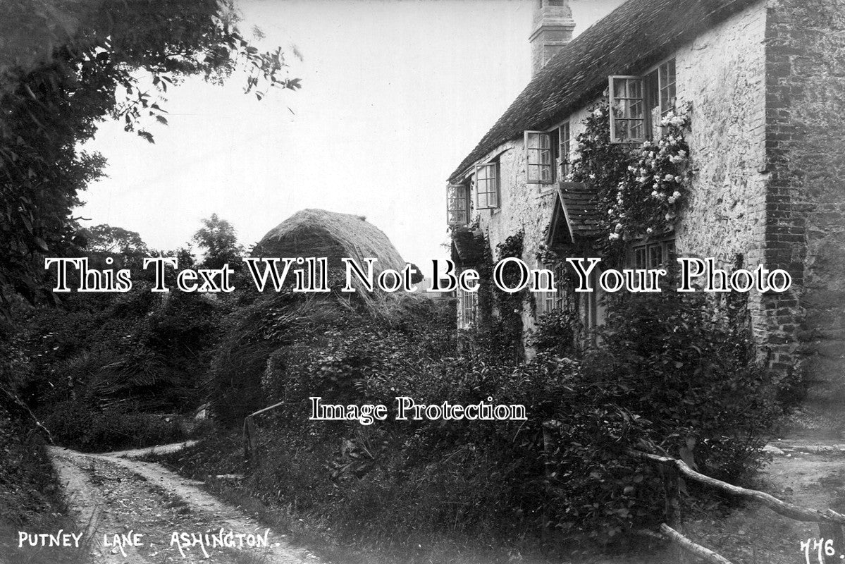 SP 13 - Putney Lane, Ashington, West Sussex