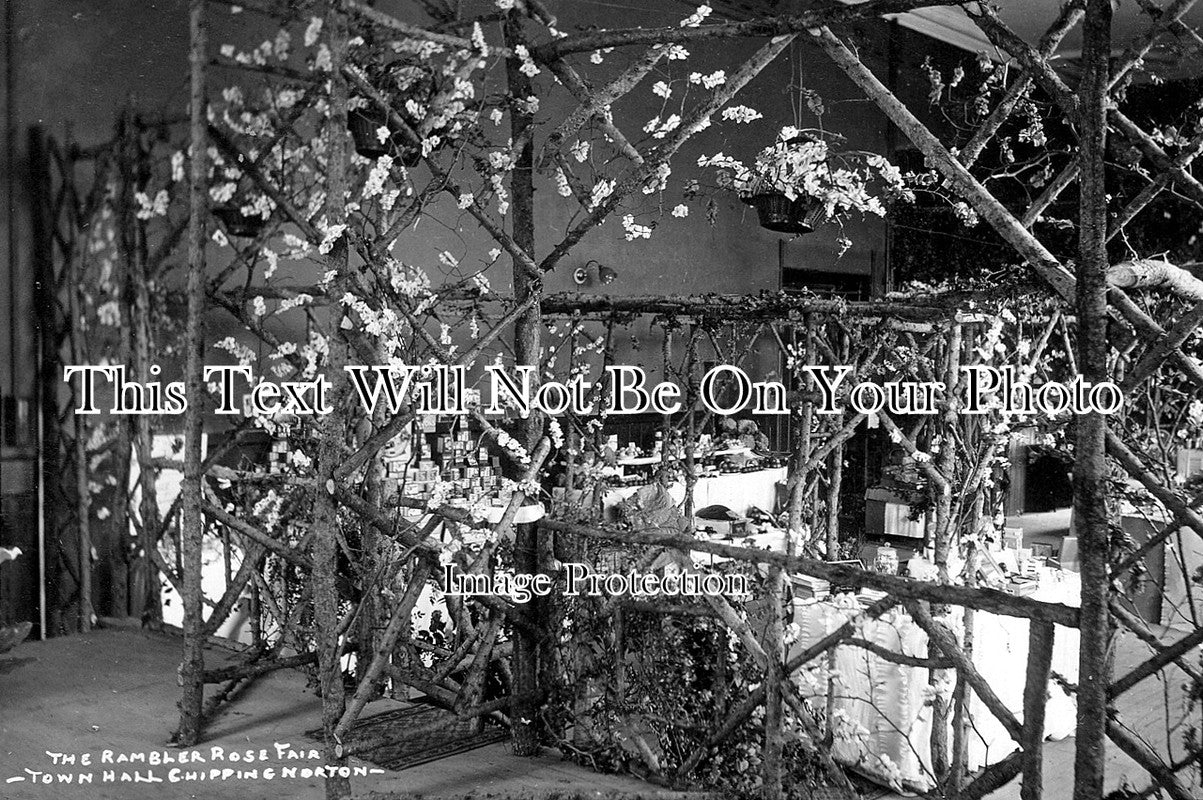 SP 160 - The Rambler Rose Fair, Town Hall, Chipping Norton, Oxfordshire