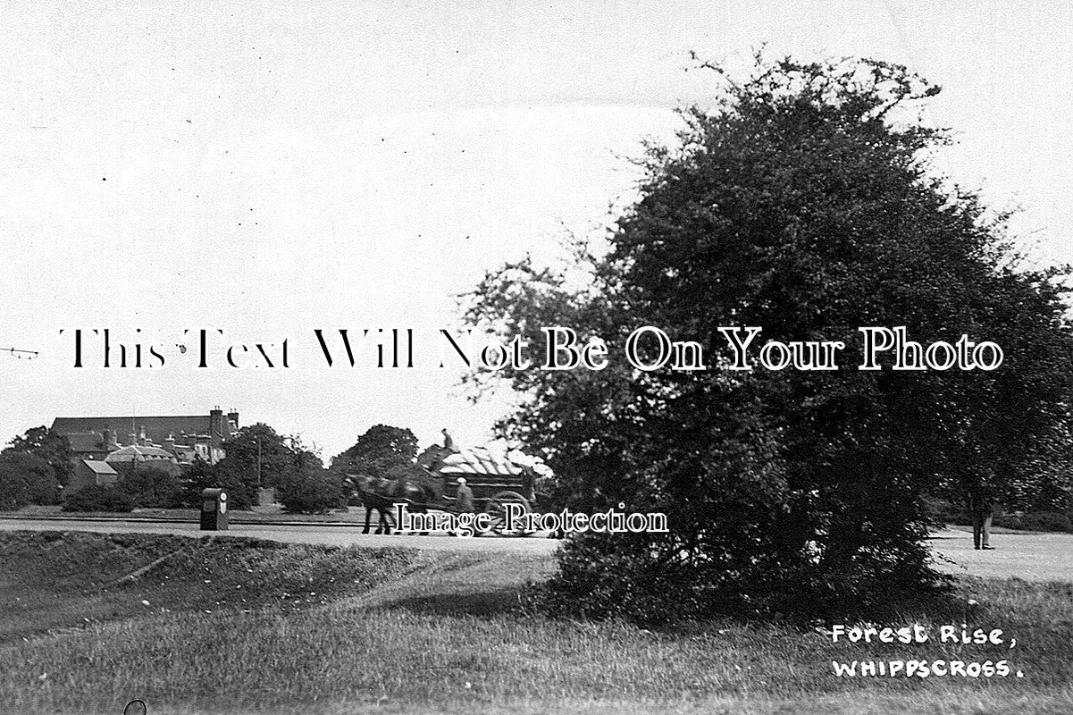 SP 210 - Forest Rise, Whippscross, London