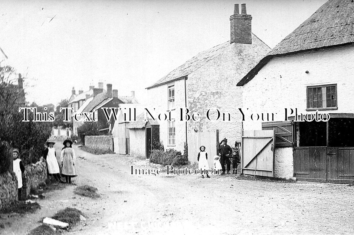 SP 232 - West Chickerell, Weymouth, Dorset