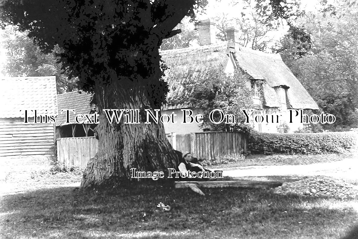 SP 405 - Old Corner Tree, West Entrance To Great Gransden, Cambridgeshire c1890