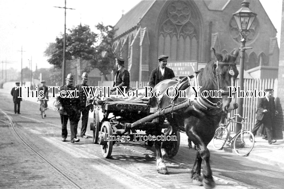 SP 428 - Dray Horse, Doncaster, Yorkshire