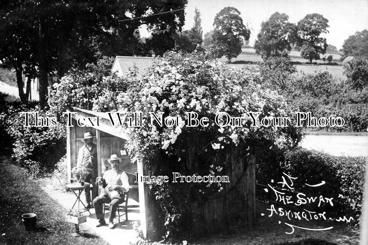 SP 6 - The Swan Inn, Ashington, West Sussex 2