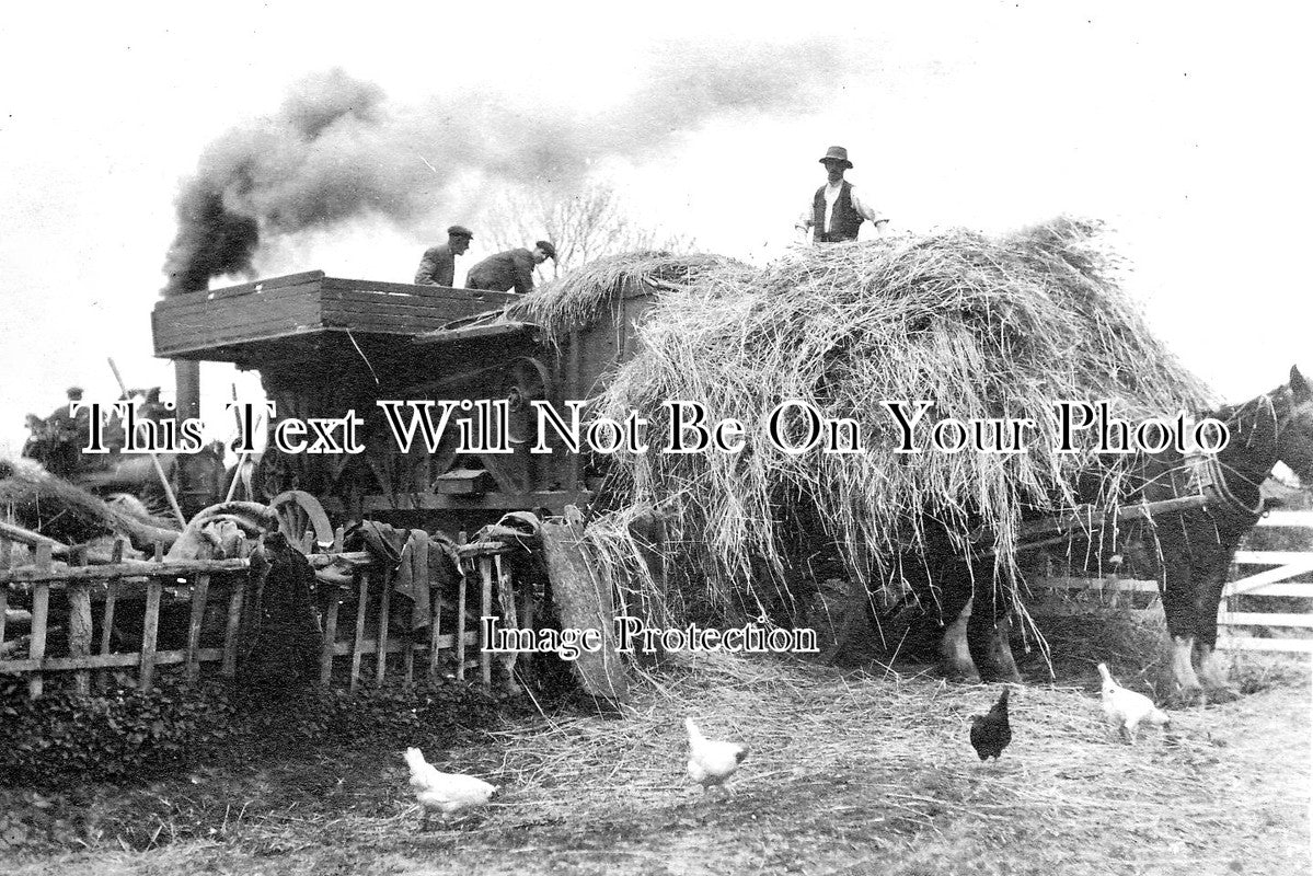 SP 644 - Traction Engine Threshing At Full-Sutton, Yorkshire