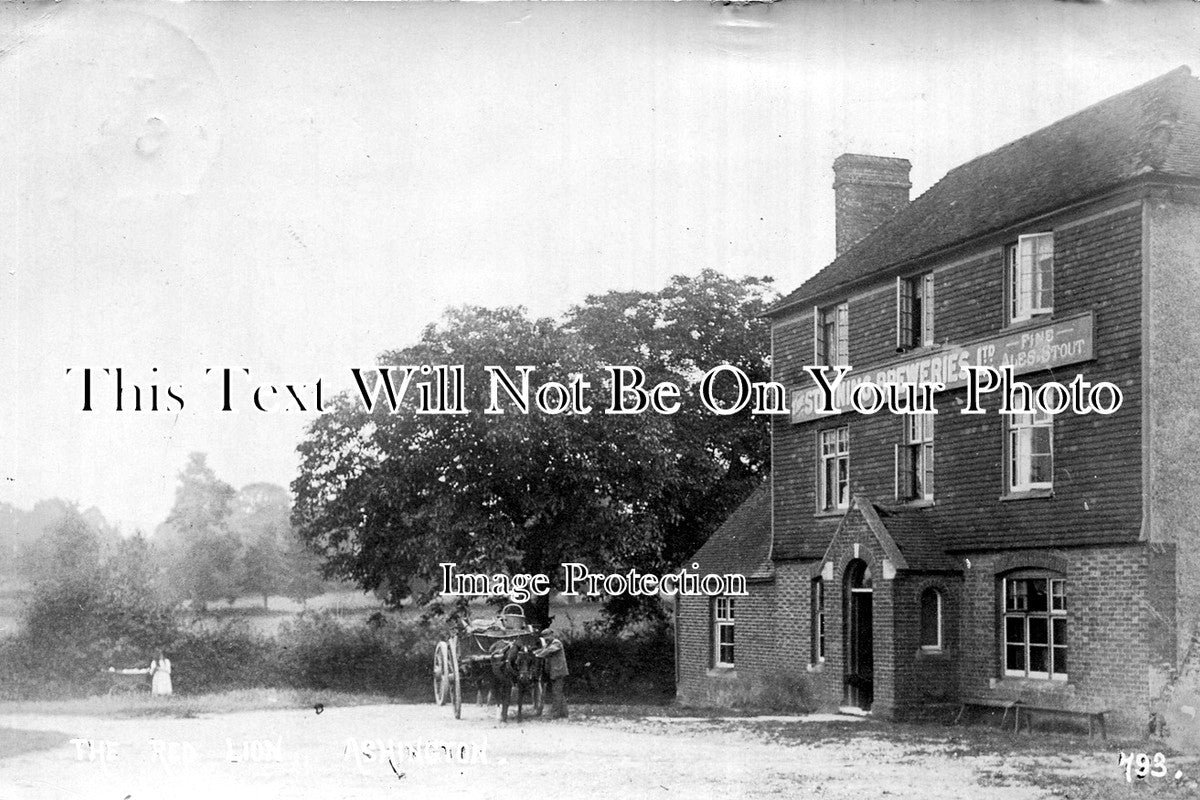 SP 8 - The Red Lion, Ashington, West Sussex