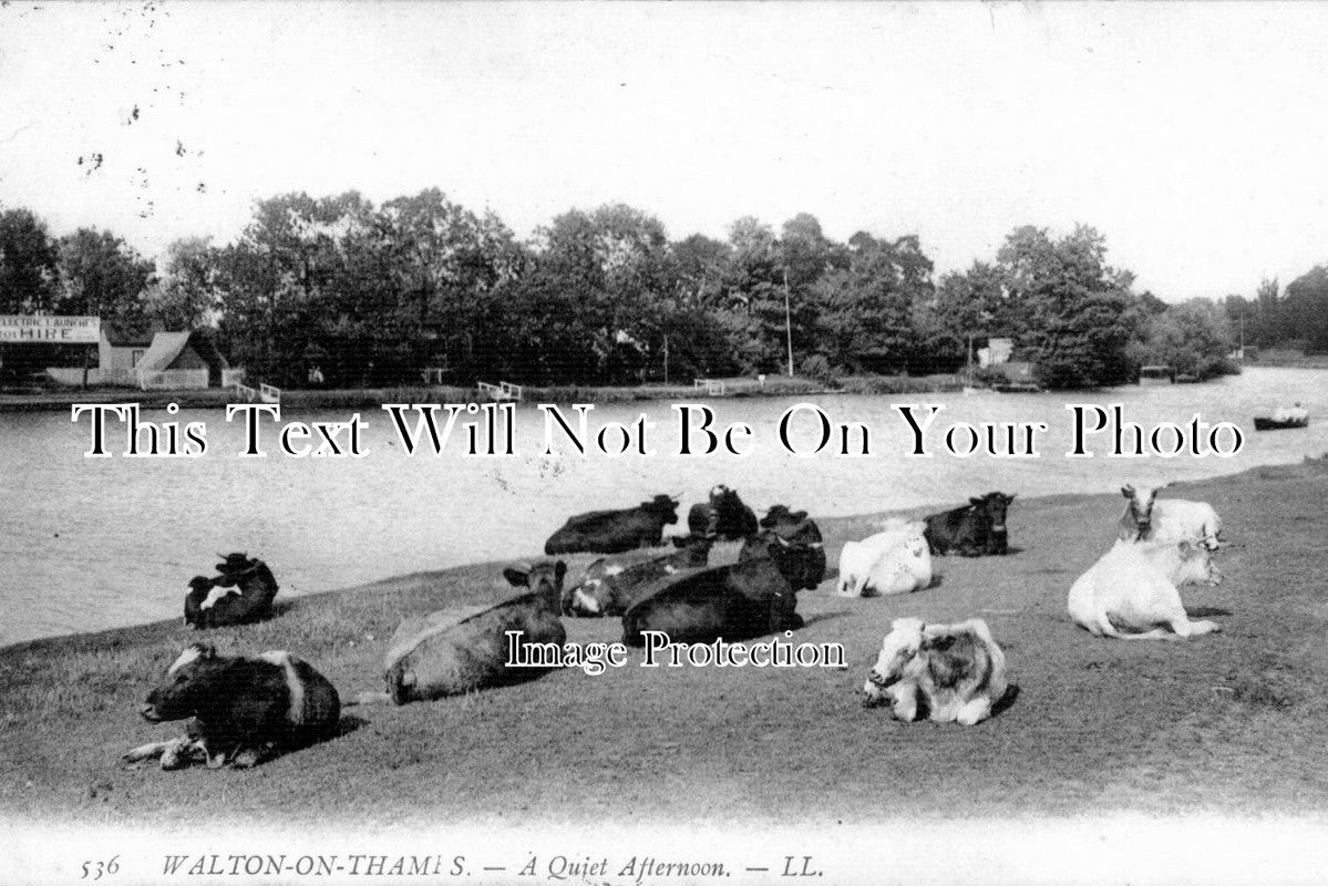 SU 120 - Walton On Thames, Surrey