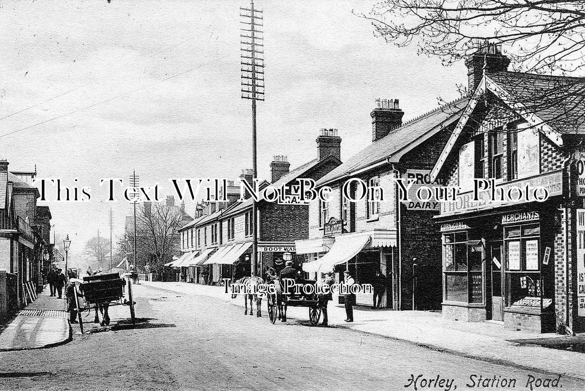 SU 355 - Thurleys Corn & Coal Merchant, Station Road, Horley, Surrey c1906