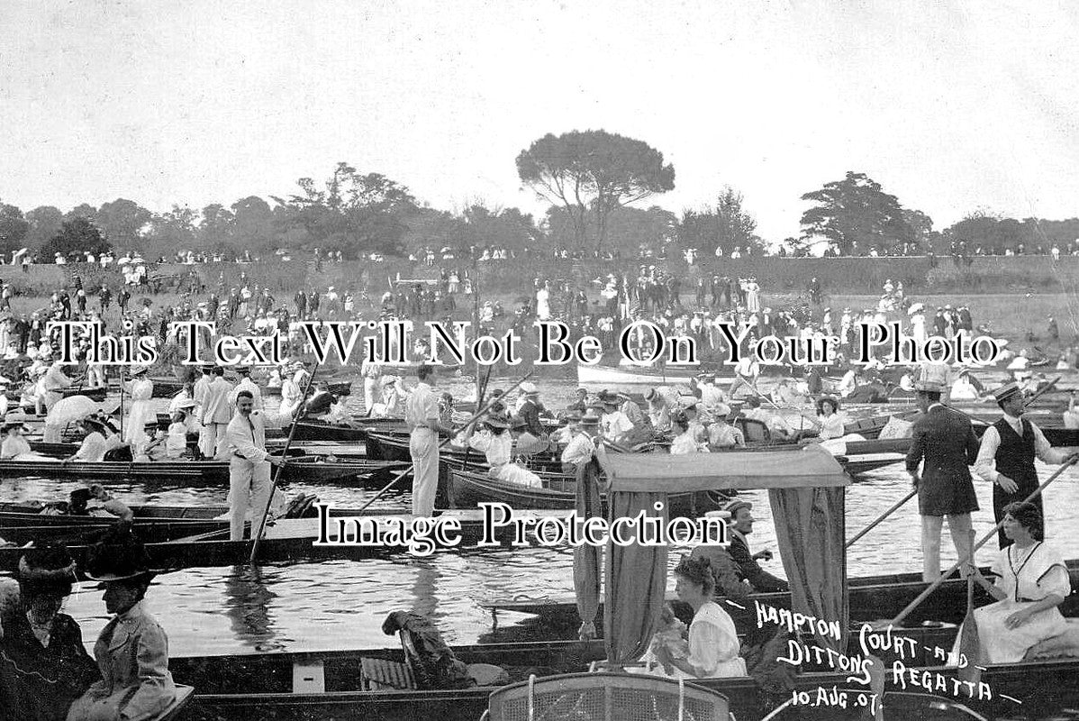 SU 3865 - Ditton Regatta, Hampton Court, Surrey c1907