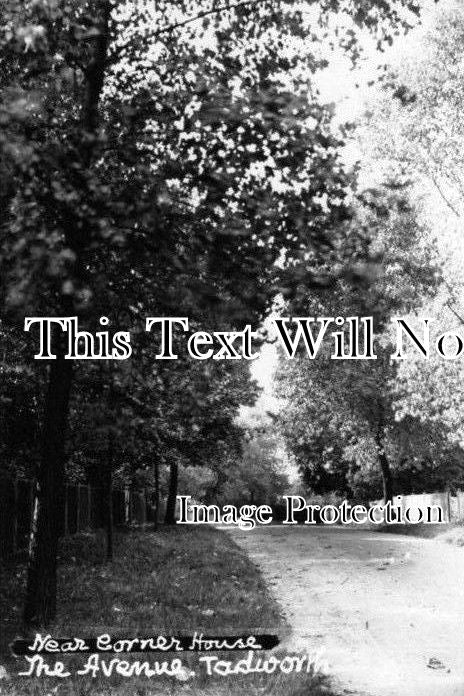 SU 609 - Near Corner House, The Avenue, Tadworth, Surrey