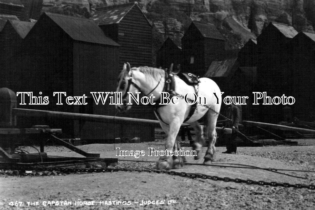 SX 1192 - The Capstan Horse, Hastings, Sussex