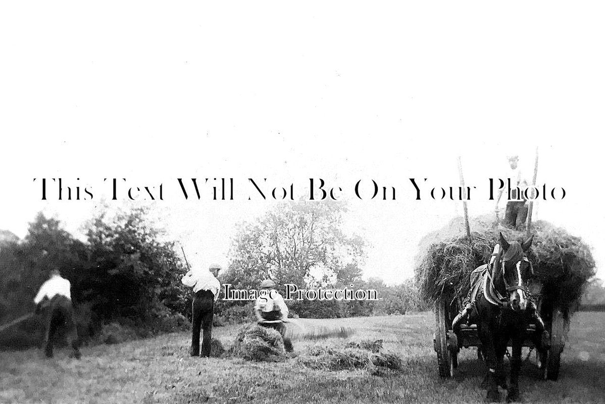 SX 1554 - Isfield, Sussex c1907