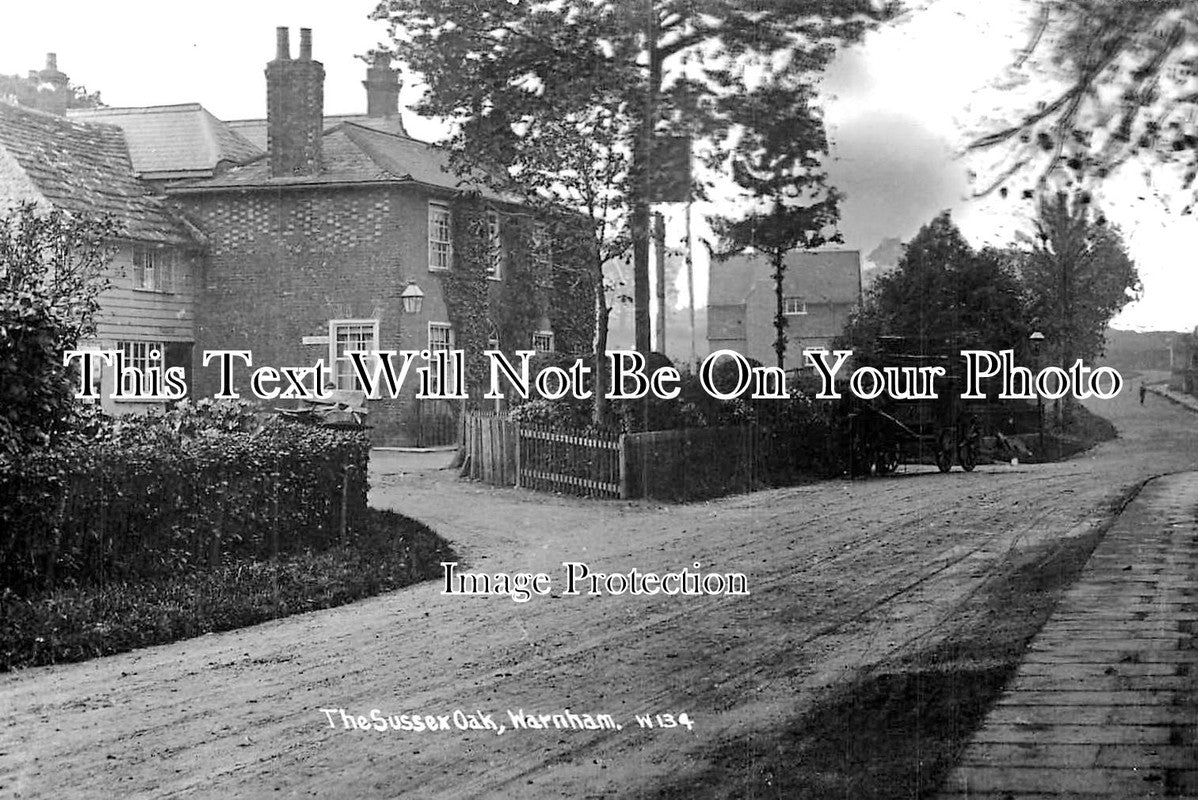 SX 1576 - The Sussex Oak, Warnham, Sussex
