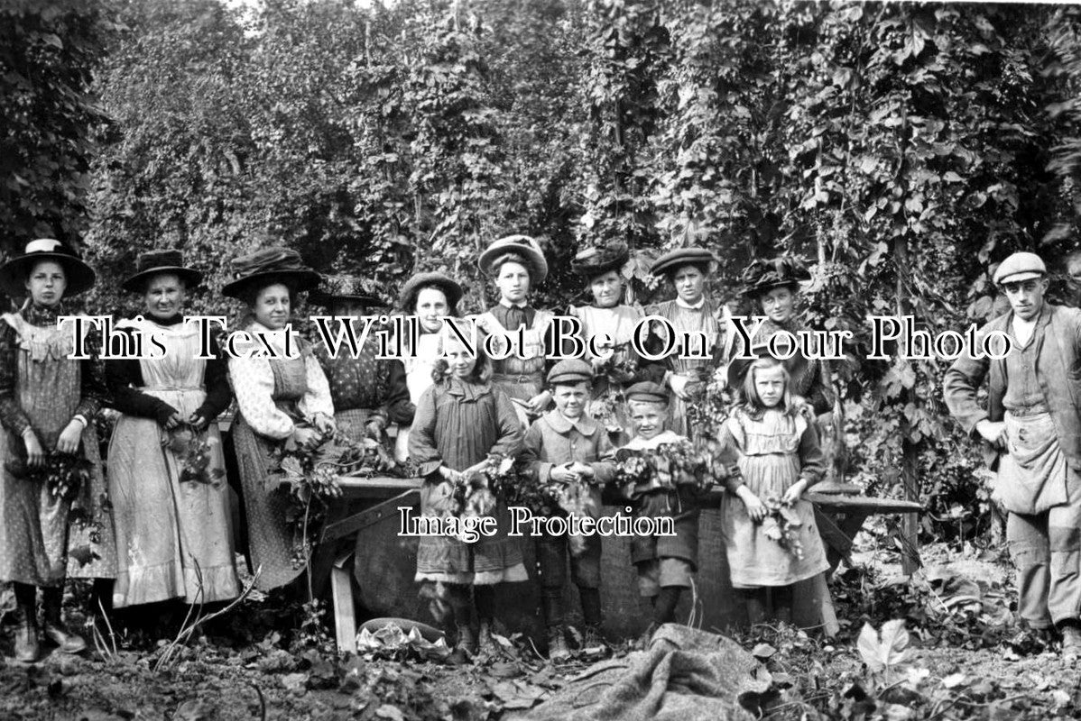 SX 178 - Hop Pickers, Wadhurst, Sussex
