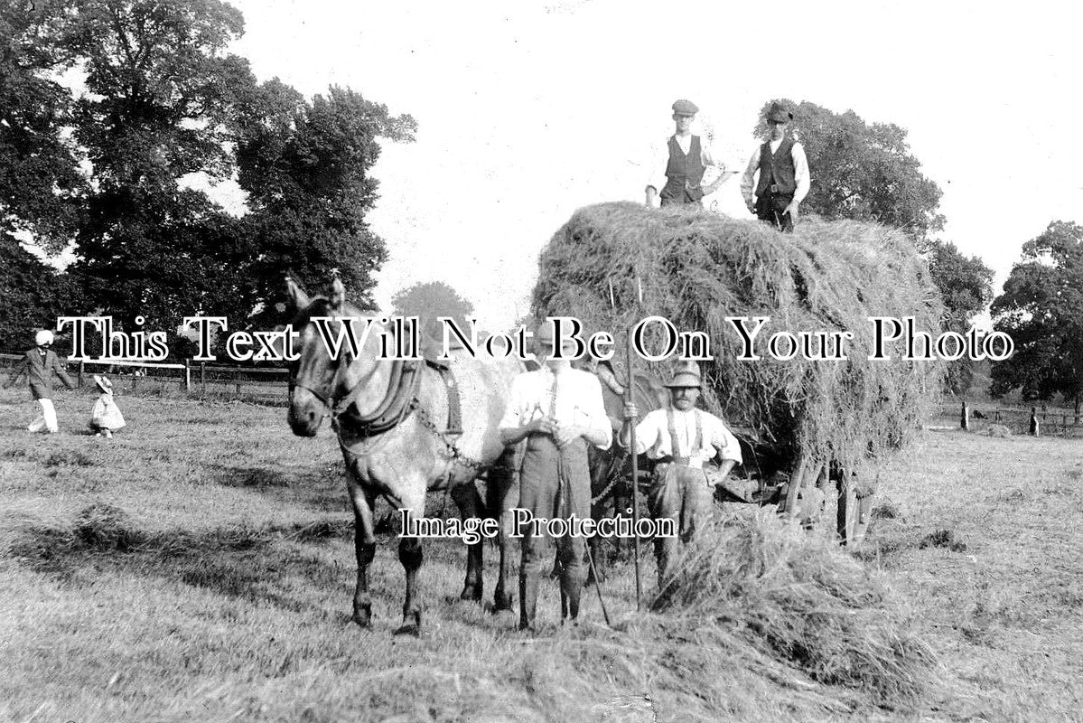 SX 1783 - Rogate Farming Scene, Sussex c1910