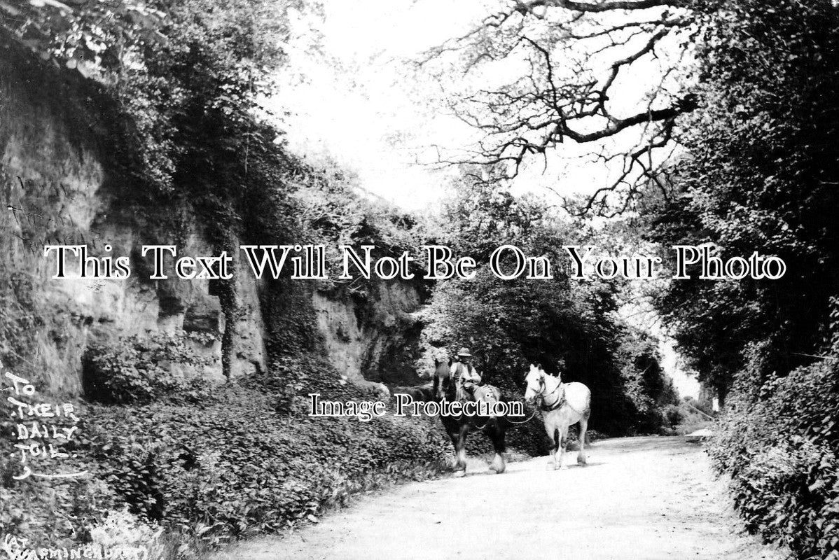 SX 1904 - Warminghurst, Sussex