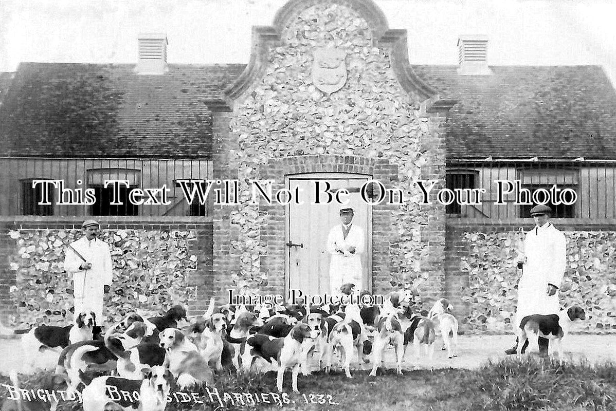 SX 2644 - Brookside Harriers Kennels, Brighton, Sussex c1908