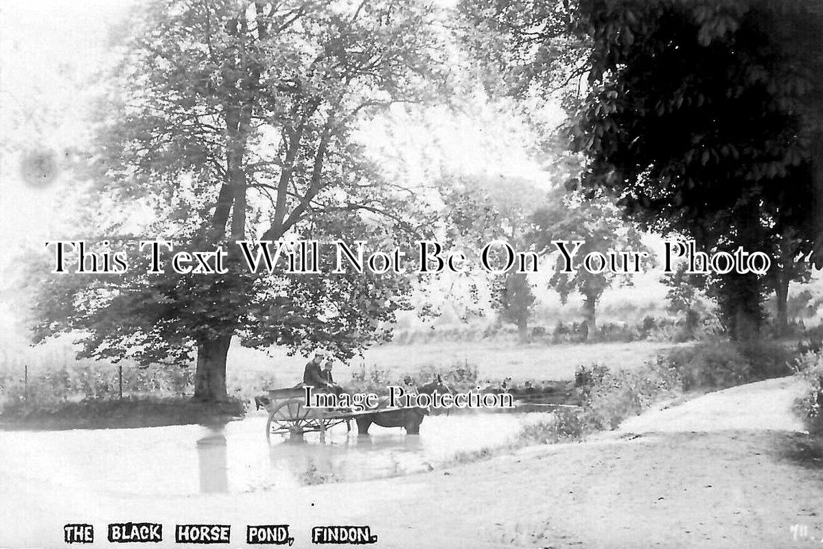 SX 2685 - Black Horse Pond, Findon, Sussex c1909
