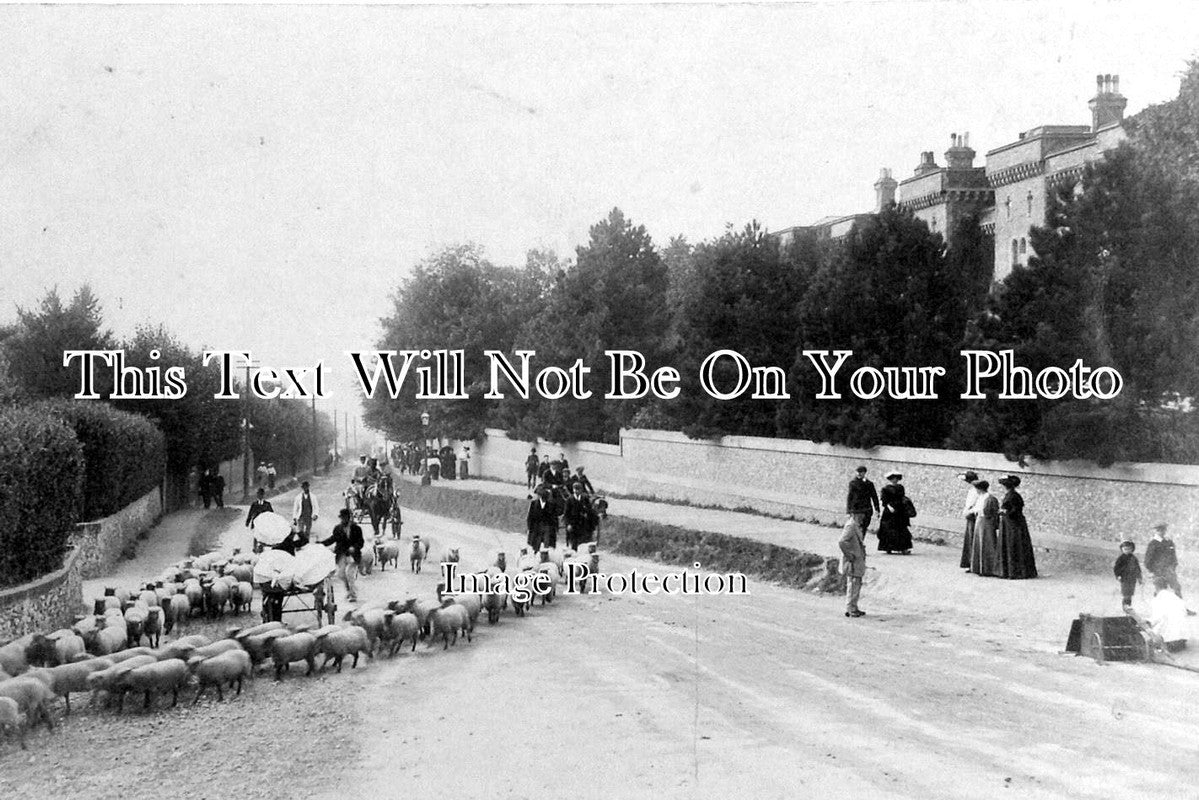 SX 294 - Brighton Road, Lewes, Sussex