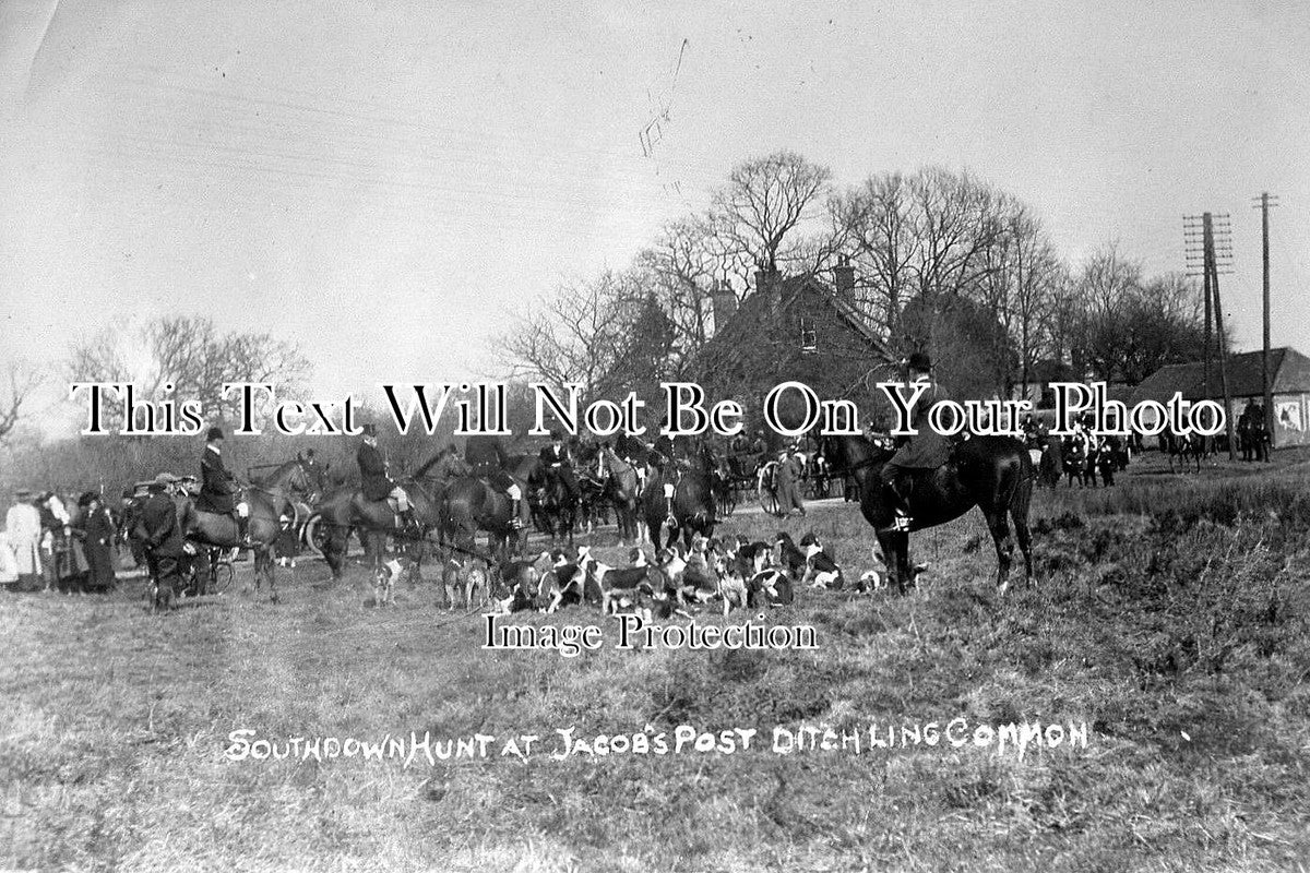 SX 308 - Southdown Hunt At Jacobs Post, Ditchling Common, Sussex c1910