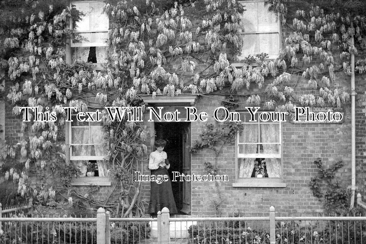 SX 3424 - Goodacre Shop, Uckfield, Sussex