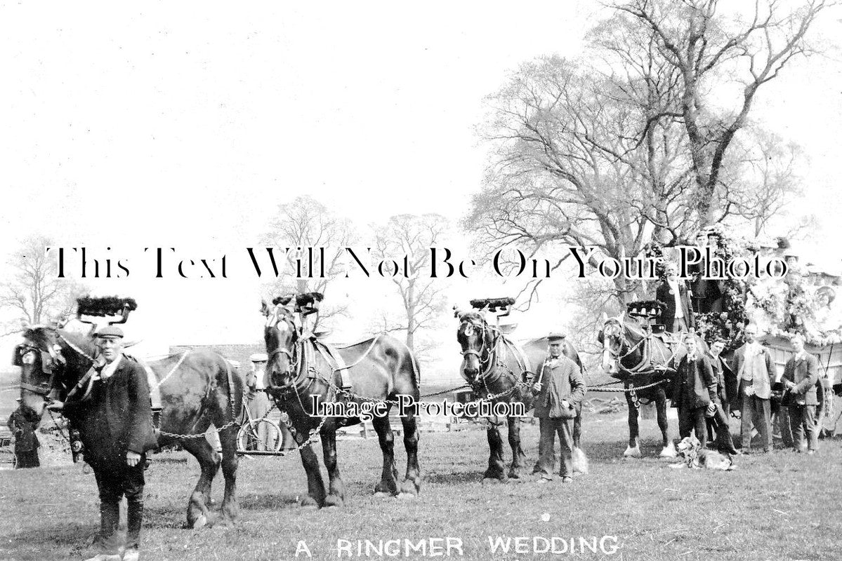 SX 3819 - A Ringmer Wedding, Sussex